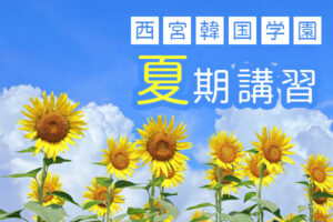 夏期講習の夏をイメージしたひまわりの写真